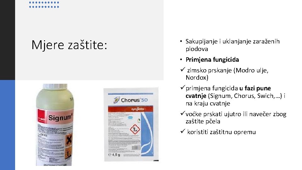 Mjere zaštite: • Sakupljanje i uklanjanje zaraženih plodova • Primjena fungicida ü zimsko prskanje