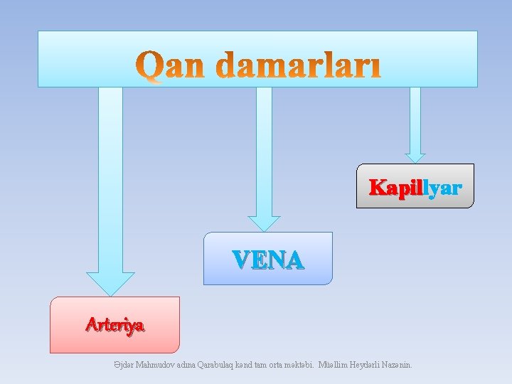 Kapillyar Kapil VENA Arteriya Əjdər Mahmudov adına Qarabulaq kənd tam orta məktəbi. Müəllim Heydərli