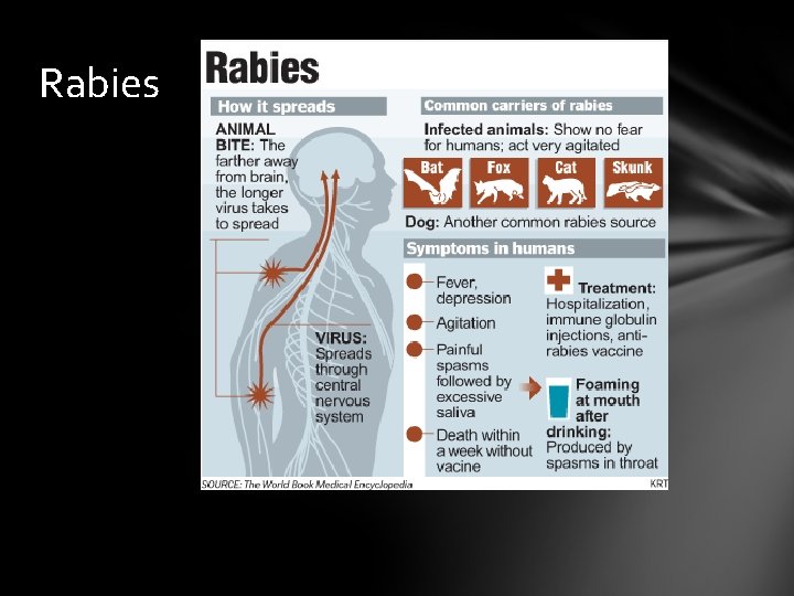 Rabies 