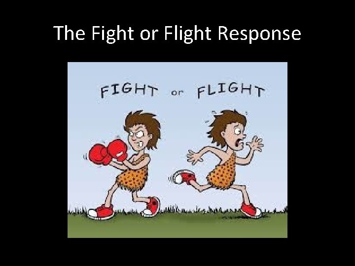 The Fight or Flight Response 