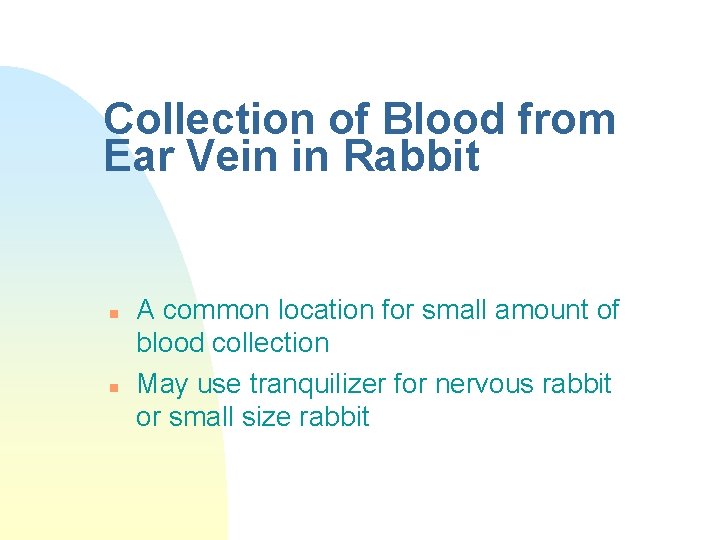 Collection of Blood from Ear Vein in Rabbit n n A common location for
