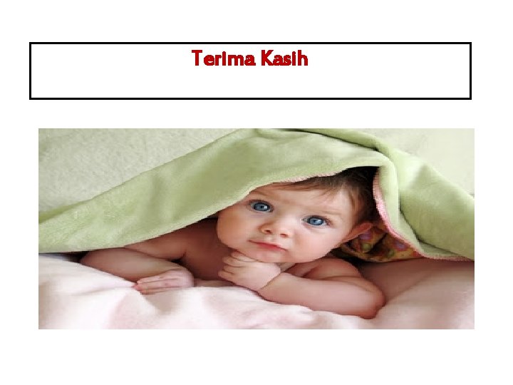 Terima Kasih 