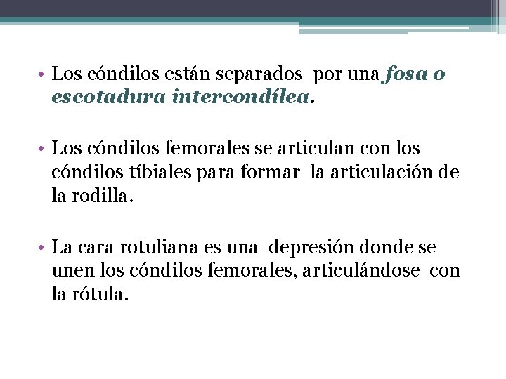  • Los cóndilos están separados por una fosa o escotadura intercondílea. • Los