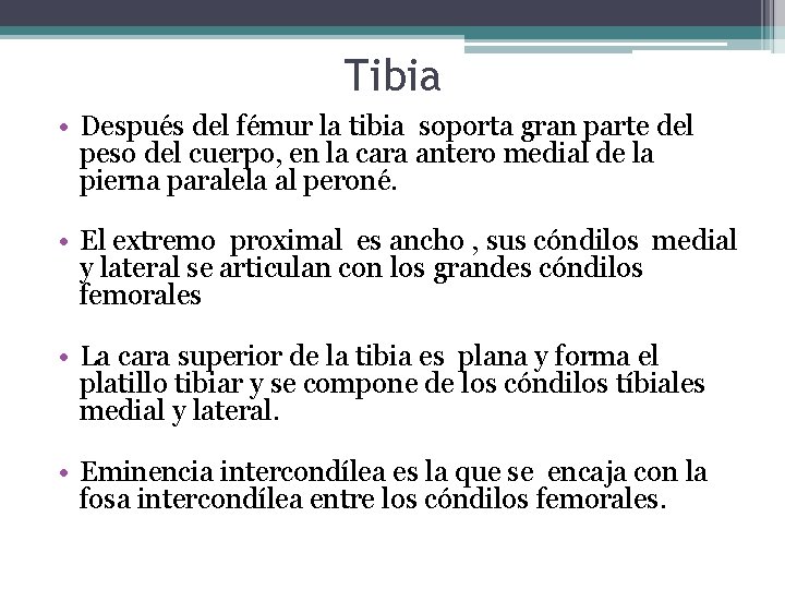 Tibia • Después del fémur la tibia soporta gran parte del peso del cuerpo,