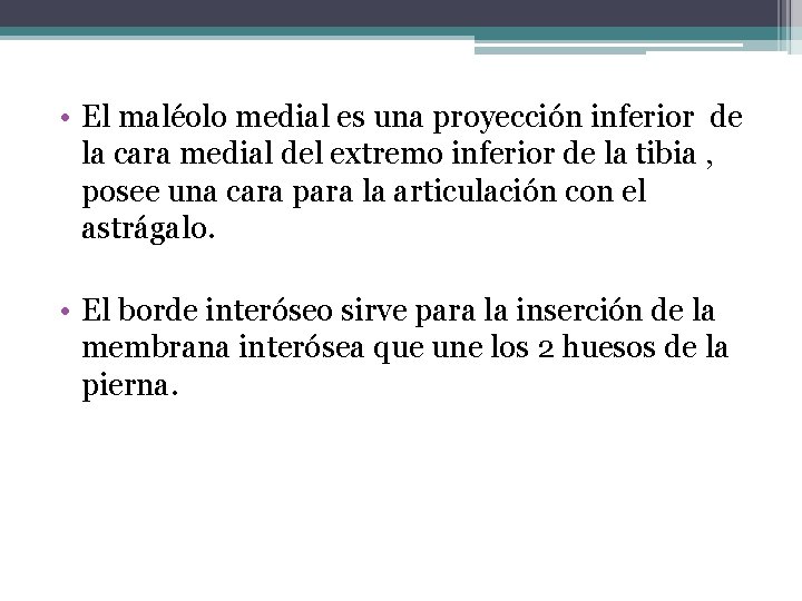  • El maléolo medial es una proyección inferior de la cara medial del