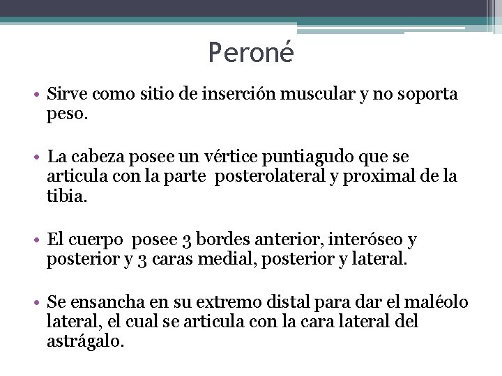 Peroné • Sirve como sitio de inserción muscular y no soporta peso. • La