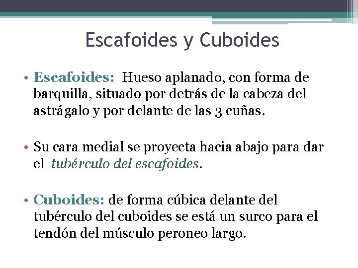 Escafoides y Cuboides • Escafoides: Hueso aplanado, con forma de barquilla, situado por detrás