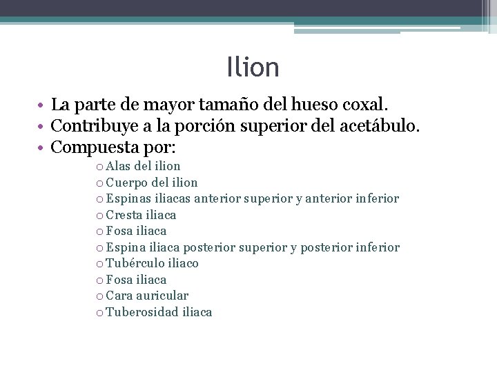 Ilion • La parte de mayor tamaño del hueso coxal. • Contribuye a la