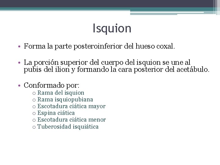 Isquion • Forma la parte posteroinferior del hueso coxal. • La porción superior del