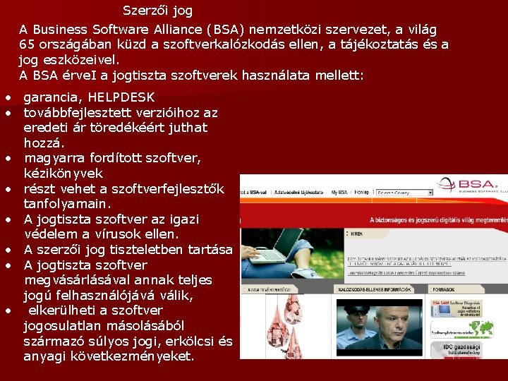 Szerzői jog A Business Software Alliance (BSA) nemzetközi szervezet, a világ 65 országában küzd Szerzői jog A Business Software Alliance (BSA) nemzetközi szervezet, a világ 65 országában küzd
