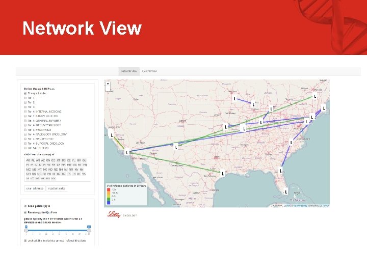 Network View 