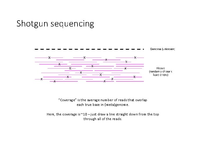 Shotgun sequencing “Coverage” is the average number of reads that overlap each true base