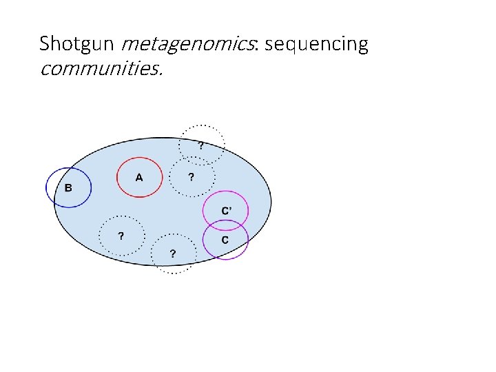 Shotgun metagenomics: sequencing communities. 