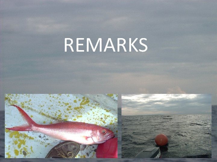 REMARKS 