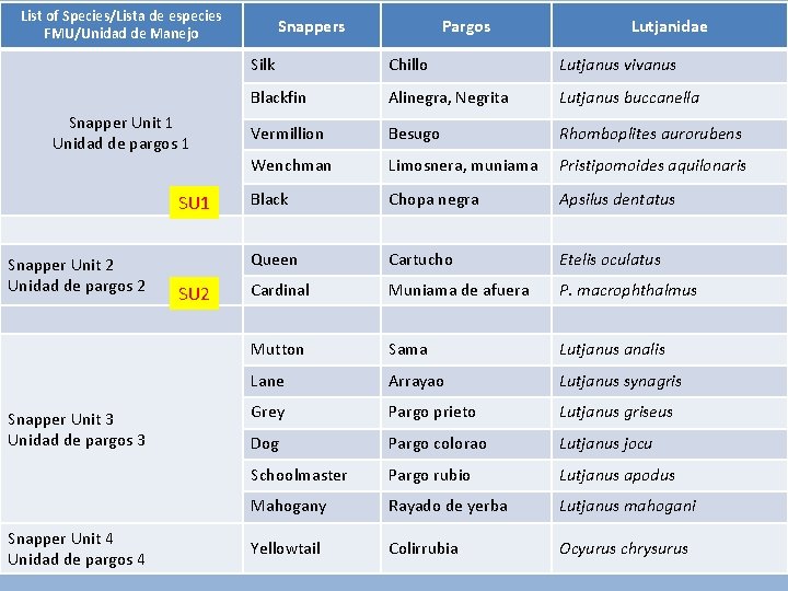 List of Species/Lista de especies FMU/Unidad de Manejo Snapper Unit 1 Unidad de pargos