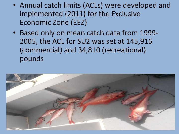  • Annual catch limits (ACLs) were developed and implemented (2011) for the Exclusive