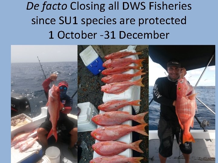 De facto Closing all DWS Fisheries since SU 1 species are protected 1 October
