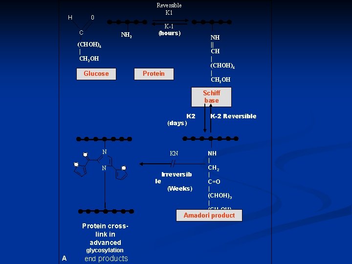 H Reversible K 1 0 C NH 2 K-1 (hours) NH || CH |