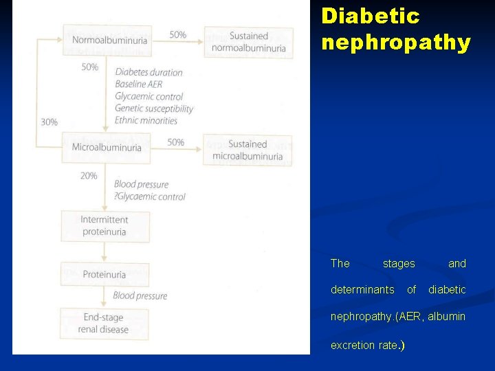 Diabetic nephropathy The stages determinants of and diabetic nephropathy. (AER, albumin excretion rate. )