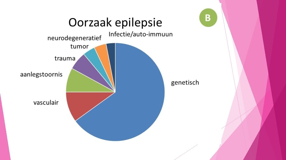 Module 11 Verstandelijk beperkten zorg Epilepsie Inhoud Wat