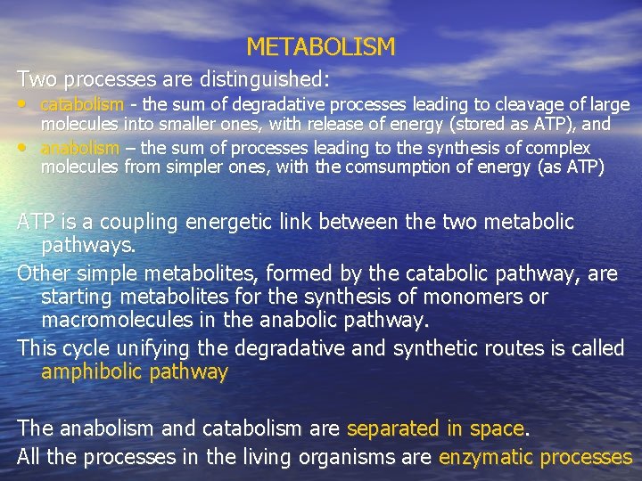 METABOLISM Two processes are distinguished: • catabolism - the sum of degradative processes leading