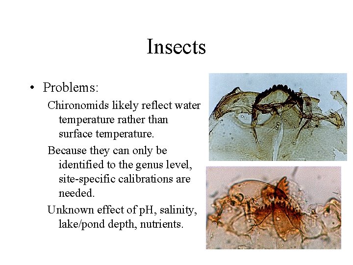 Insects • Problems: Chironomids likely reflect water temperature rather than surface temperature. Because they