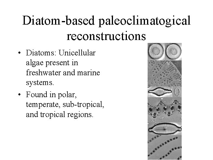 Diatom-based paleoclimatogical reconstructions • Diatoms: Unicellular algae present in freshwater and marine systems. •