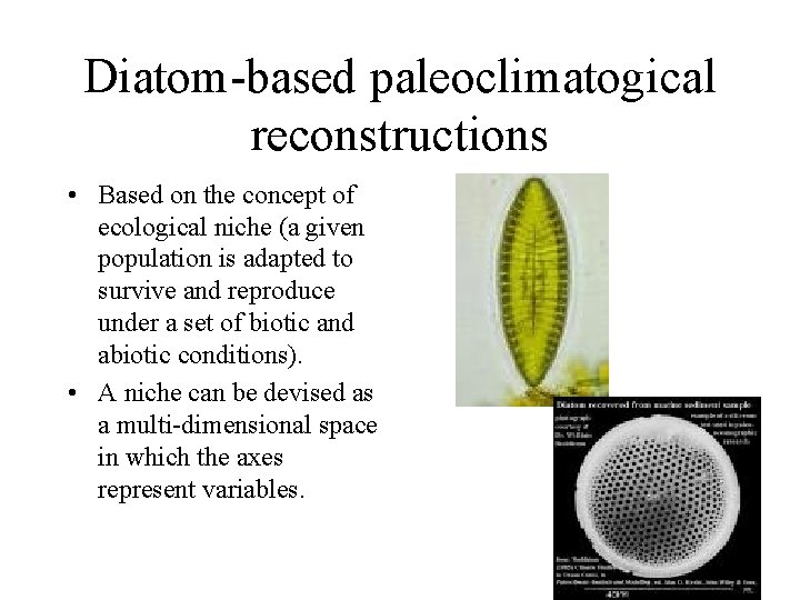 Diatom-based paleoclimatogical reconstructions • Based on the concept of ecological niche (a given population