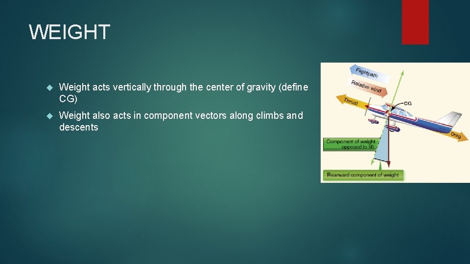 WEIGHT Weight acts vertically through the center of gravity (define CG) Weight also acts WEIGHT Weight acts vertically through the center of gravity (define CG) Weight also acts