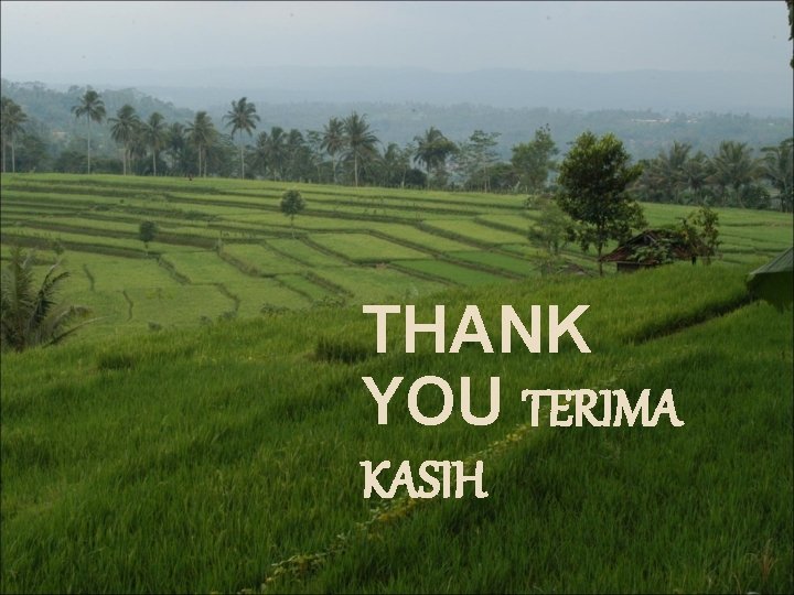 THANK YOU TERIMA KASIH 