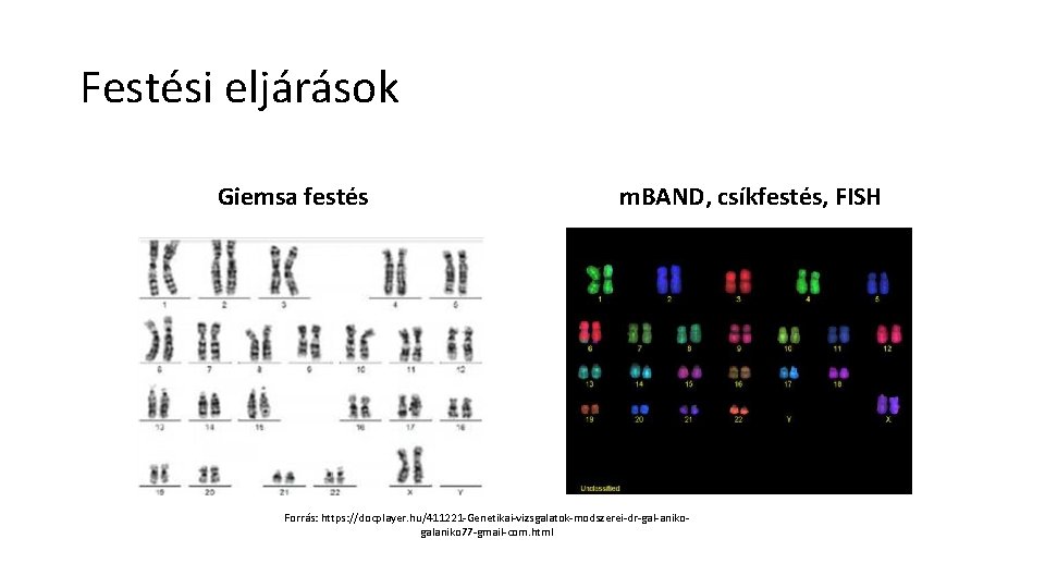 Festési eljárások Giemsa festés m. BAND, csíkfestés, FISH Forrás: https: //docplayer. hu/411221 -Genetikai-vizsgalatok-modszerei-dr-gal-anikogalaniko 77