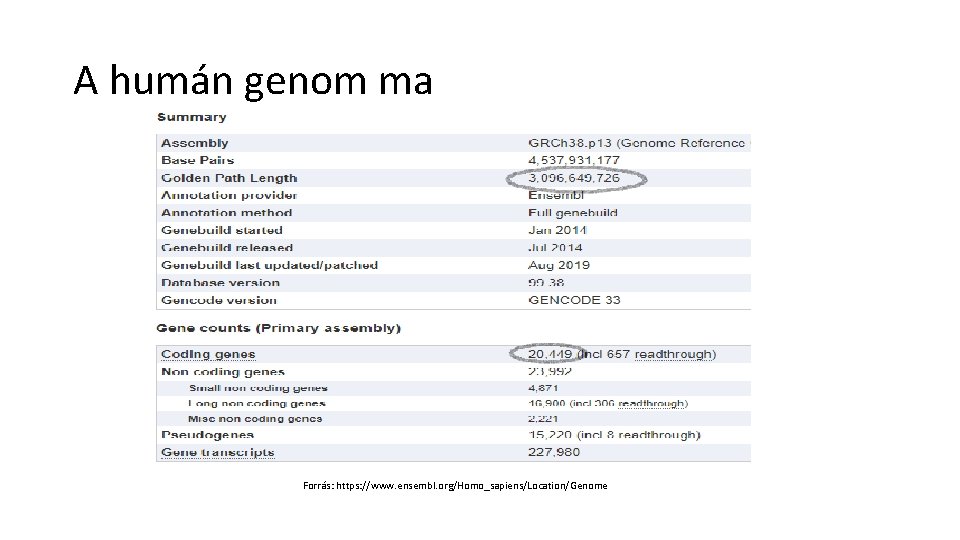 A humán genom ma Forrás: https: //www. ensembl. org/Homo_sapiens/Location/Genome 