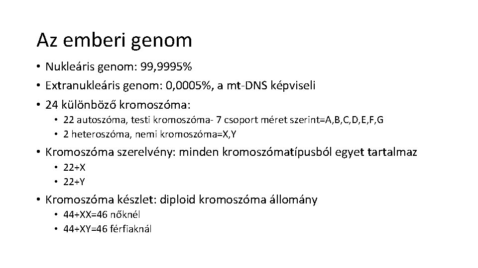 Az emberi genom • Nukleáris genom: 99, 9995% • Extranukleáris genom: 0, 0005%, a