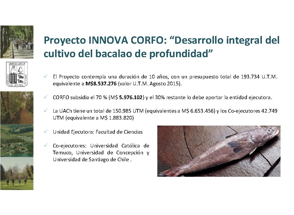 Proyecto INNOVA CORFO: “Desarrollo integral del cultivo del bacalao de profundidad” ü El Proyecto