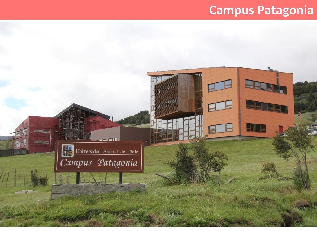 Campus Patagonia 