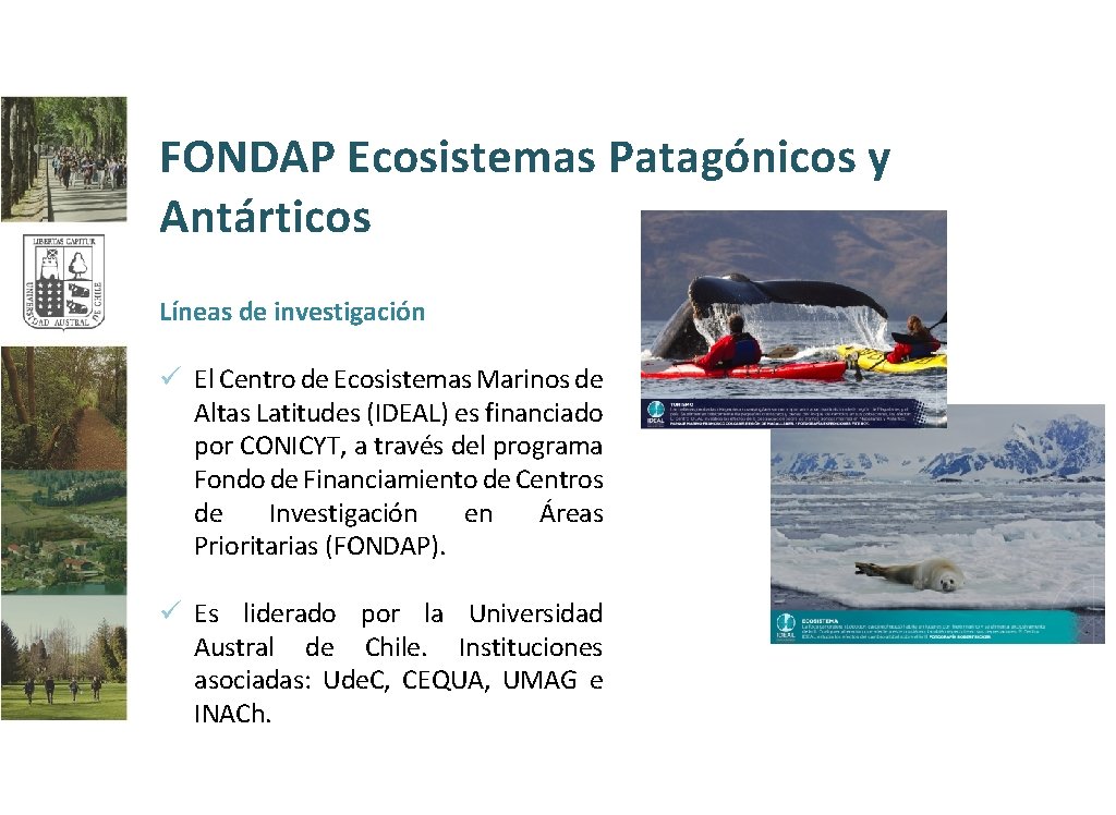 FONDAP Ecosistemas Patagónicos y Antárticos Líneas de investigación ü El Centro de Ecosistemas Marinos