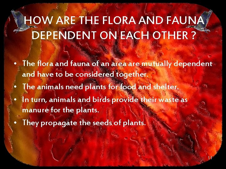 HOW ARE THE FLORA AND FAUNA DEPENDENT ON EACH OTHER ? • The flora