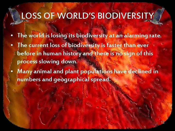 LOSS OF WORLD’S BIODIVERSITY • The world is losing its biodiversity at an alarming