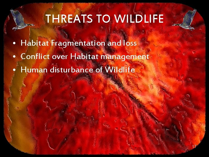 THREATS TO WILDLIFE • Habitat Fragmentation and loss • Conflict over Habitat management •