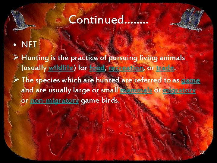 Continued……. . • NET Ø Hunting is the practice of pursuing living animals (usually