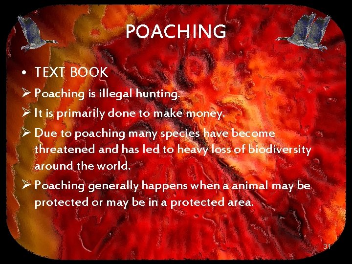 POACHING • TEXT BOOK Ø Poaching is illegal hunting. Ø It is primarily done