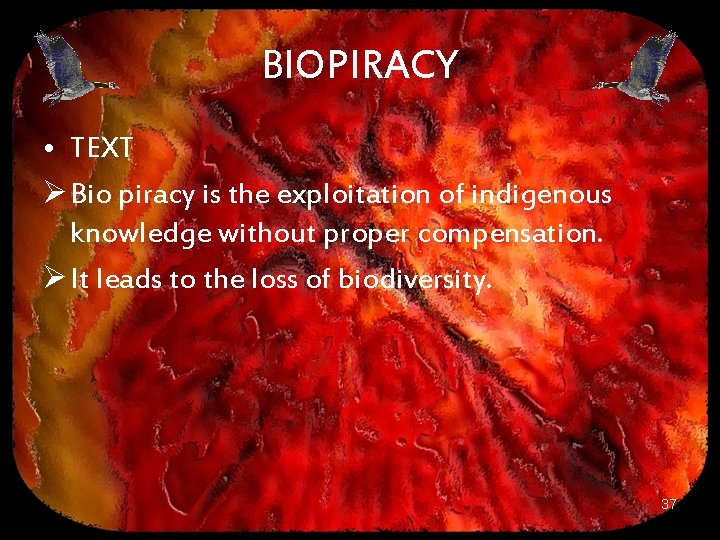 BIOPIRACY • TEXT Ø Bio piracy is the exploitation of indigenous knowledge without proper