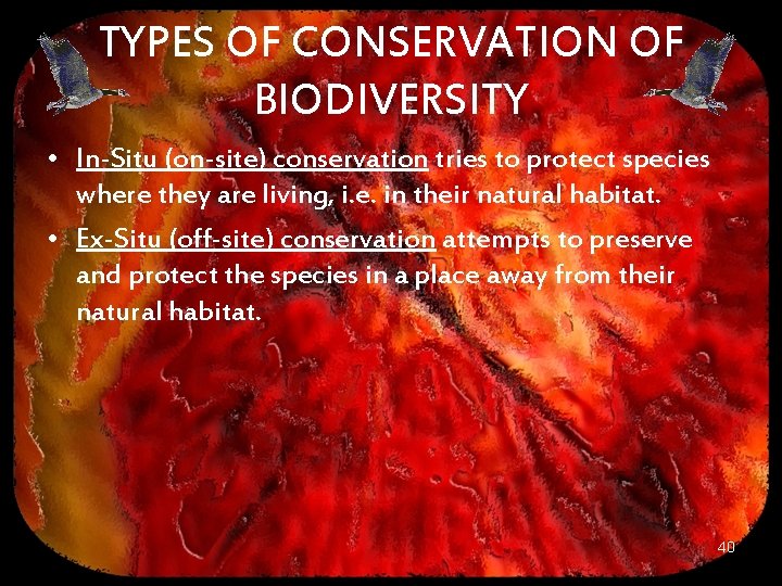 TYPES OF CONSERVATION OF BIODIVERSITY • In-Situ (on-site) conservation tries to protect species where