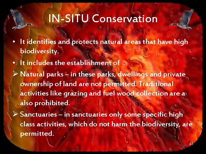 IN-SITU Conservation • It identifies and protects natural areas that have high biodiversity. •