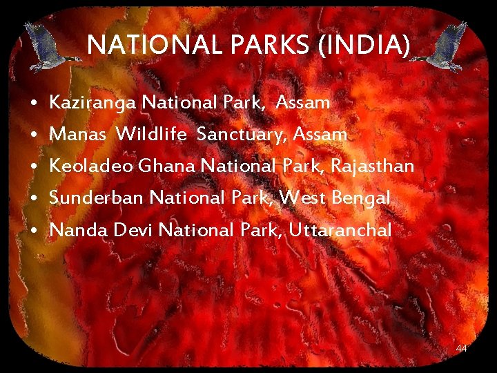 NATIONAL PARKS (INDIA) • • • Kaziranga National Park, Assam Manas Wildlife Sanctuary, Assam