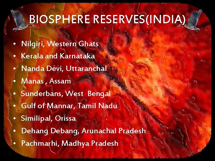 BIOSPHERE RESERVES(INDIA) • • • Nilgiri, Western Ghats Kerala and Karnataka Nanda Devi, Uttaranchal