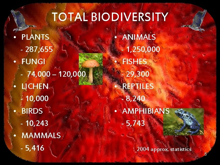 TOTAL BIODIVERSITY • PLANTS - 287, 655 • FUNGI - 74, 000 – 120,