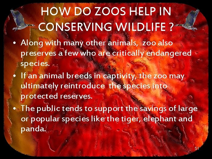 HOW DO ZOOS HELP IN CONSERVING WILDLIFE ? • Along with many other animals,