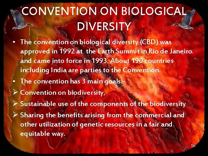 CONVENTION ON BIOLOGICAL DIVERSITY • The convention on biological diversity (CBD) was approved in