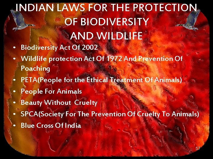 INDIAN LAWS FOR THE PROTECTION OF BIODIVERSITY AND WILDLIFE • Biodiversity Act Of 2002